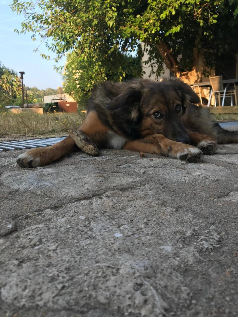A Loghja Di Cavallo Morto Бонифачо Екстериор снимка