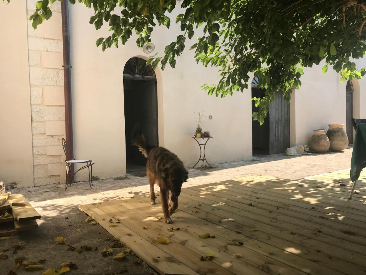 A Loghja Di Cavallo Morto Бонифачо Екстериор снимка